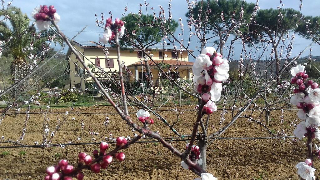 Agriturismo Val Di Nappo Castiglione della Pescaia Luaran gambar